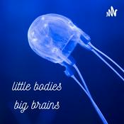 Podcast Little Bodies, Big Brains