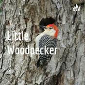 Podcast Little Woodpecker