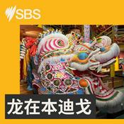 Podcast 龙在本迪戈