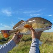 Podcast Louisiana Great Outdoors with Don Dubuc