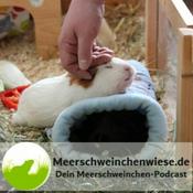 Podcast Meerschweinchenwiese.de - Dein Meerschweinchen-Podcast