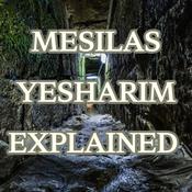 Podcast Mesilas Yesharim Explained with Rabbi Dovid Schoonmaker