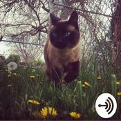 Podcast Michael Harper