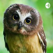 Podcast Միլենա Այդինյան