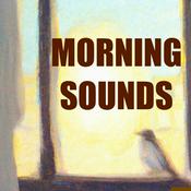 Podcast Morning Sounds