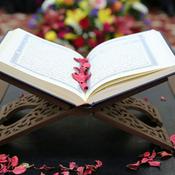 Podcast Muhamed Porča - opšta predavanja