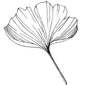 Podcast Pc Teams1 Comp