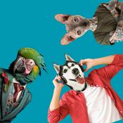 Podcast Petcast. Az állati podcast