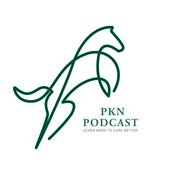 Podcast PKN Podcast