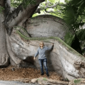 Podcast Psychic Shari's World
