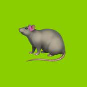 Podcast rat coquette