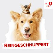 Podcast Reingeschnuppert