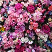 Podcast Ryl Talk❤️