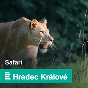 Podcast Safari