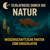 Podcast Schlafreise durch die Natur