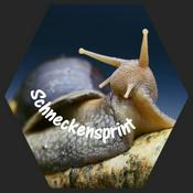 Podcast Schneckensprint - Der Achatschnecken-Podcast