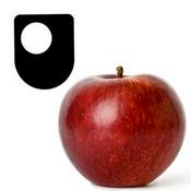 Podcast Social marketing - Audio