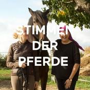 Podcast STIMMEN DER PFERDE