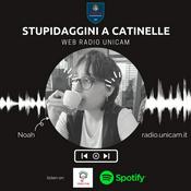 Podcast Stupidaggini a catinelle - Unicam