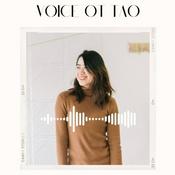 Podcast 陶之声