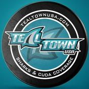 Podcast Teal Town USA