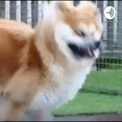 Podcast The greatest mystery’s of the world