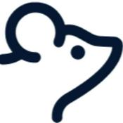 Podcast The MVP: The ModernVivo Podcast