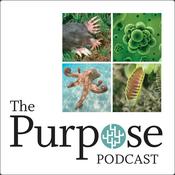 Podcast The Purpose Podcast
