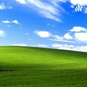 Podcast Top Lads Podcast