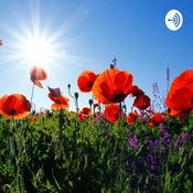 Podcast That Mom Podcast