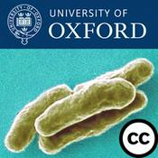 Podcast Vaccine Research at Oxford