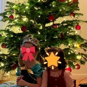 Podcast Vorlesegeschichten von Rudi, Mecki, Kathrin und Chris