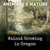 Podcast Walnut Growing in Oregon