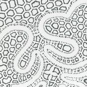 Podcast Wegweiser hakt nach!