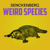 Podcast Weird Species