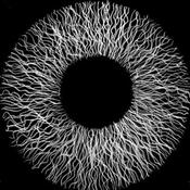 Podcast What is sound ?