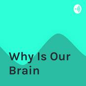 Podcast Why Is Our Brain