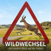 Podcast Wildwechsel - Der andere Blick auf die Natur