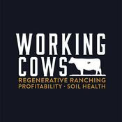 Podcast Working Cows - Regenerative Ranching to Maximize Profitability and Soil Health