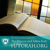 Podcast YUTORAH: R' Yisroel Meir Druck -- Recent Shiurim