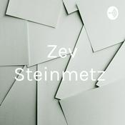 Podcast Zev Steinmetz