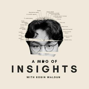 A Mug of Insights