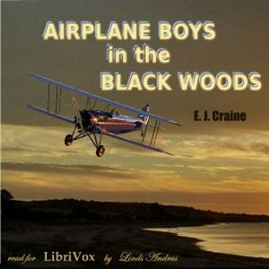 Airplane Boys in the Black Woods by E. J. Craine