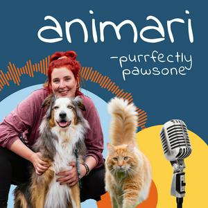 animari - purrfectly pawsome