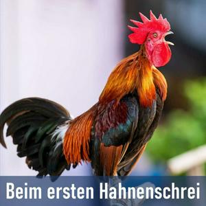 Beim ersten Hahnenschrei