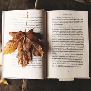 Bücher Casting X