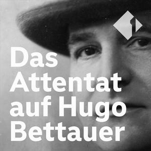 Das Attentat auf Hugo Bettauer