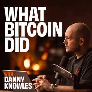 What Bitcoin Did
