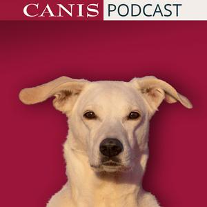 Der CANIS-Podcast – Hundeexpert:innen ausgefragt