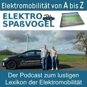 Der Elektrospaßvogel: Elektromobilität von A bis Z - Das umfangreichste Lexikon rund um Elektroautos